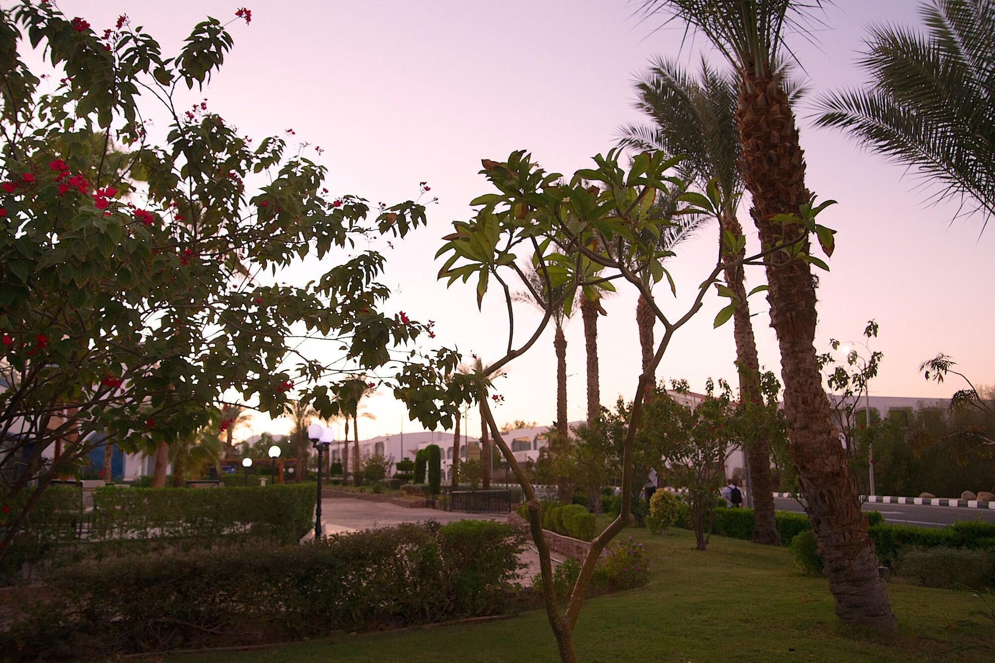 Naama Blue Hotel Sharm el-Sheikh Exteriör bild